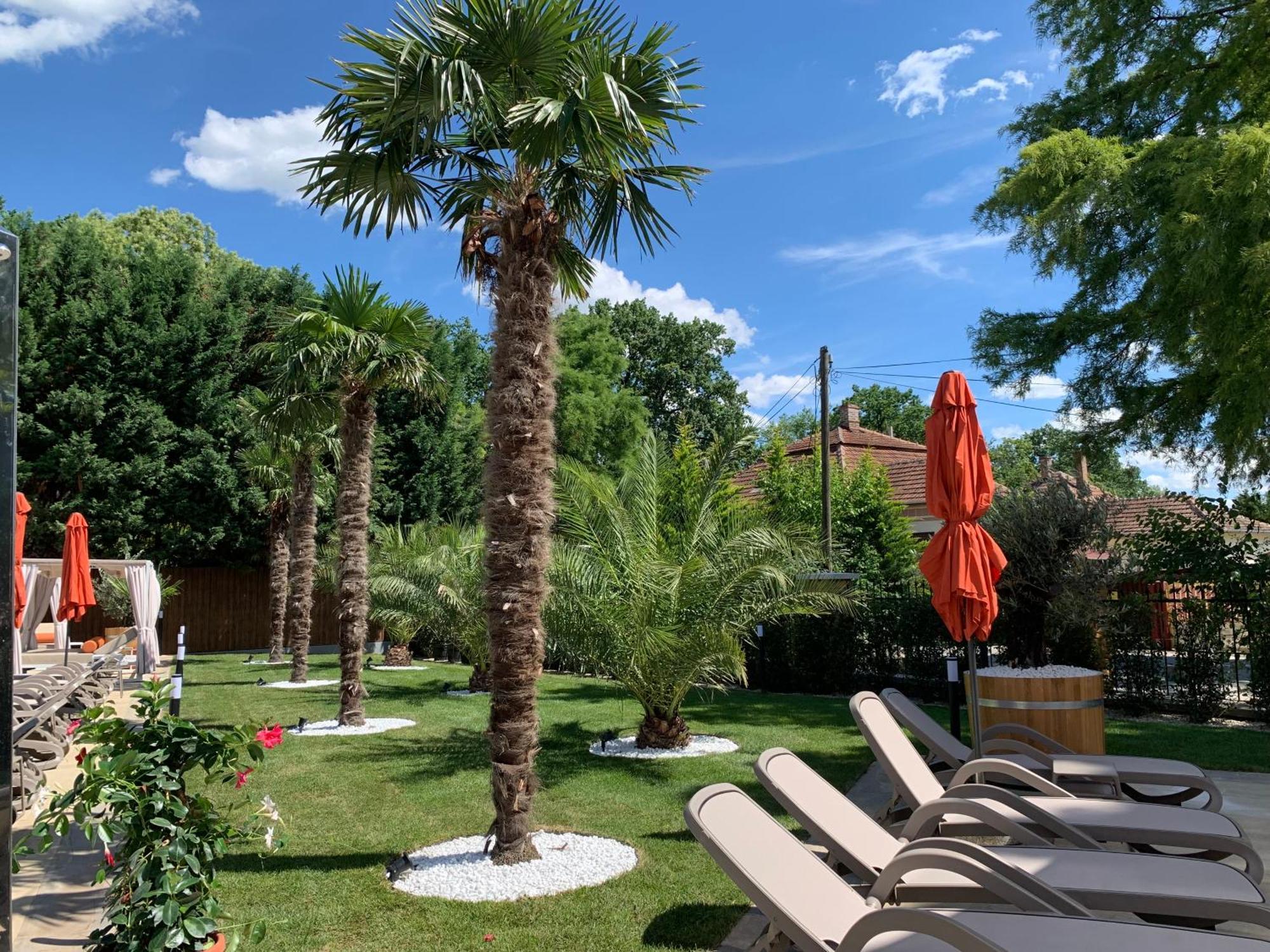 Wellness Hotel Gyula Εξωτερικό φωτογραφία
